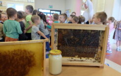 Więcej o: Dzień pszczoły – spotkanie z pszczelarzem Tomaszem Garusem – 19.05.2023
