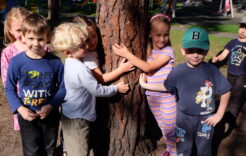 Więcej o: Ogólnopolska kampania „Przytul się do drzewa” #straznicylasow
