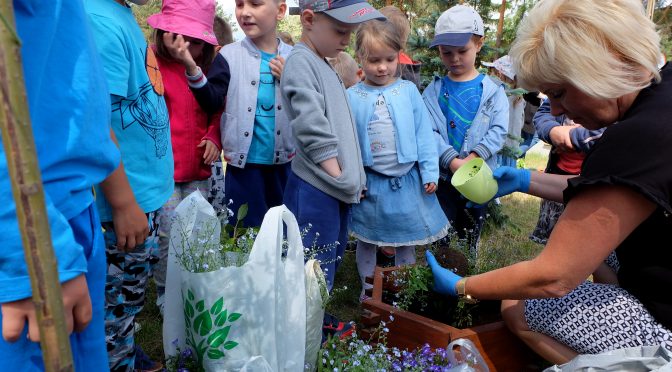 Więcej o: Dzień Niezapominajki 15.05.2018