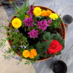 DSCF1101